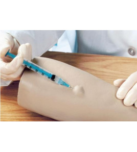 Cvičný model - simulátor aplikace intradermální injekce do ruky