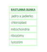 Velká magnetická rostlinná buňka